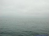 EDSCN5700a.jpg