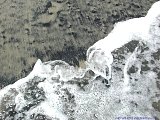 EDSCN6184a.jpg
