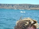 EDSCN6222a.jpg