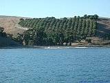 EDSCN6338a.jpg