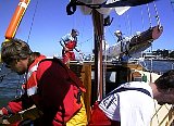 AUT_2255.JPG