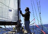 AUT_2302.JPG