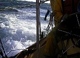 AUT_2407.JPG