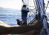 AUT_2427.JPG