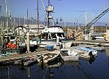 AUT_2448.JPG