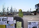 AUT_2467.JPG