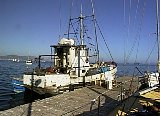 AUT_2502.JPG