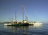 AUT_2505.JPG