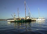 AUT_2506.JPG