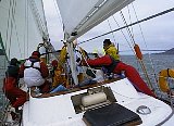 AUT_6127.JPG