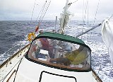 AUT_6139.JPG
