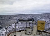 AUT_6161.JPG