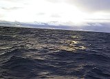 AUT_6192.JPG