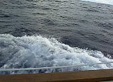 AUT_6198.JPG
