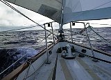 AUT_6202.JPG