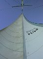 AUT_6206.JPG