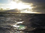 AUT_6221.JPG