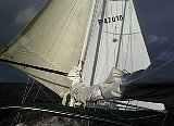 AUT_6229.JPG