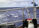 AUT_6242.JPG
