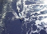 AUT_6246.JPG