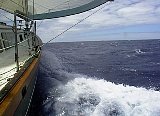 AUT_6260.JPG