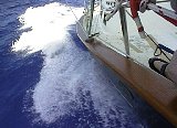 AUT_6263.JPG