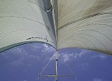AUT_6266.JPG