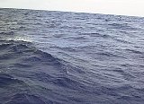 AUT_6275.JPG