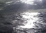 AUT_6280.JPG