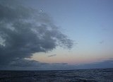 AUT_6320.JPG