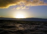 AUT_6338.JPG