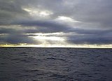 AUT_6355.JPG