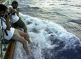 AUT_6358.JPG