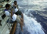 AUT_6359.JPG