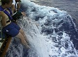 AUT_6361.JPG