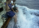 AUT_6364.JPG