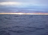 AUT_6367.JPG