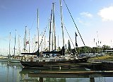 AUT_6453.JPG