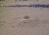 AUT_6543.JPG