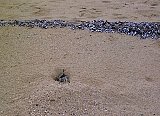 AUT_6545.JPG