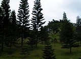 AUT_6610.JPG