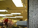 AUT_6632.JPG