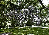 AUT_6637.JPG