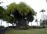 AUT_6803.JPG