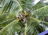 AUT_6818.JPG