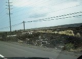 AUT_6820.JPG