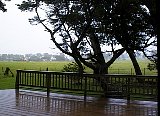 AUT_6832.JPG