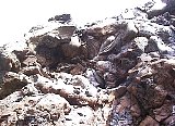 AUT_6880.JPG