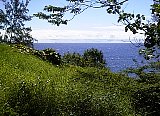 AUT_6943.JPG