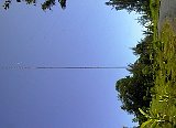 AUT_6944.JPG